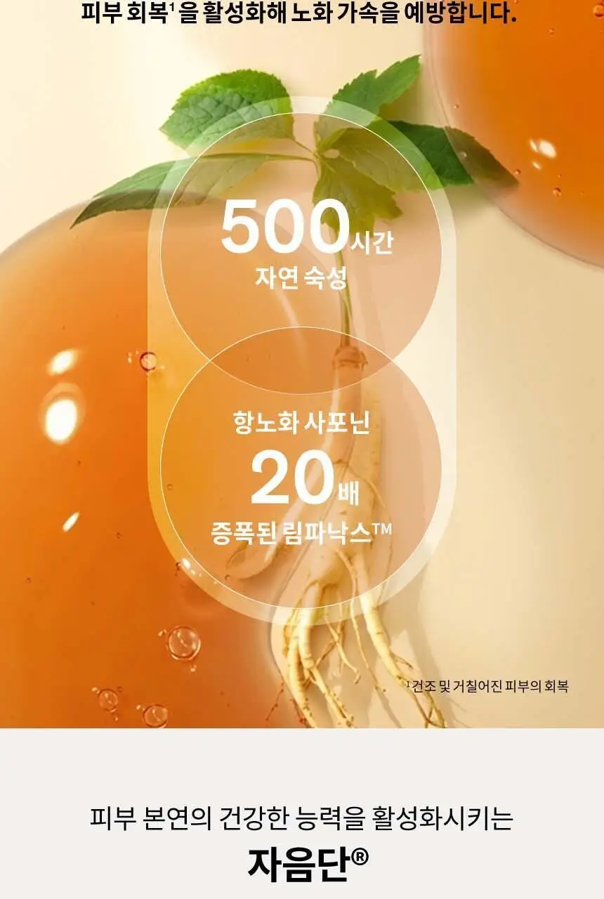[지함보 기획/추가 증정 2종] 설화수 윤조 3종 기획 상세페이지 11